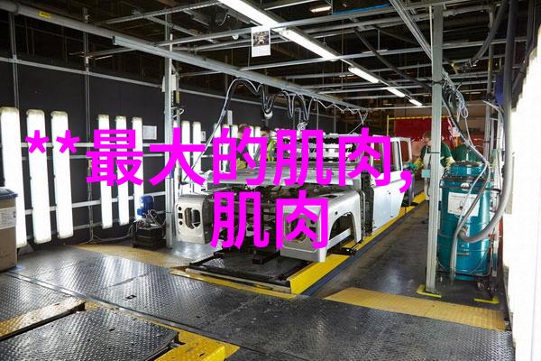 梦见豹子很温顺